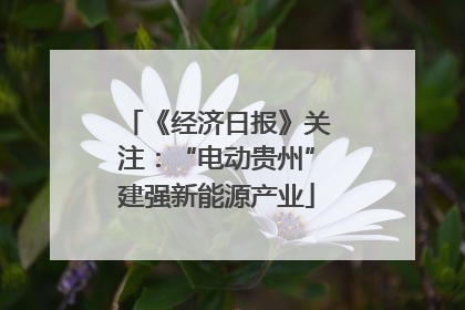 《经济日报》关注：“电动贵州”建强新能源产业