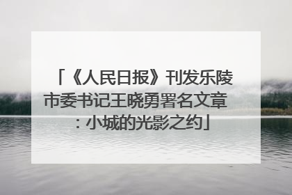 《人民日报》刊发乐陵市委书记王晓勇署名文章：小城的光影之约