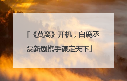 《莫离》开机，白鹿丞磊新剧携手谋定天下