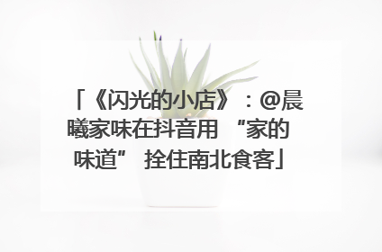 《闪光的小店》：@晨曦家味在抖音用 “家的味道” 拴住南北食客