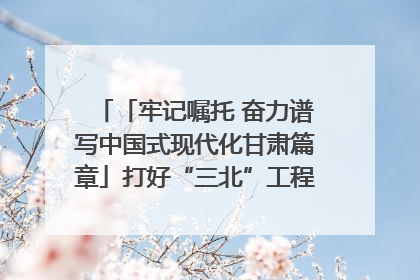 「牢记嘱托 奋力谱写中国式现代化甘肃篇章」打好“三北”工程攻坚战 筑牢国家西部生态安全屏障