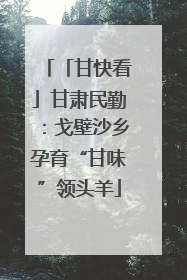 「甘快看」甘肃民勤：戈壁沙乡孕育“甘味”领头羊