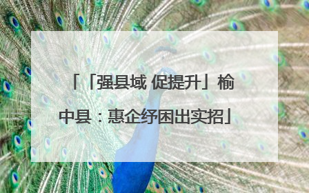 「强县域 促提升」榆中县：惠企纾困出实招