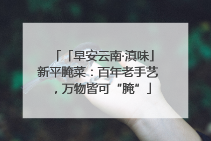 「早安云南·滇味」新平腌菜：百年老手艺，万物皆可“腌”