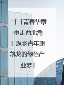 「青春华章·重走西北角」返乡青年谢凯龙的绿色产业梦