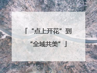 “点上开花”到“全域共美”