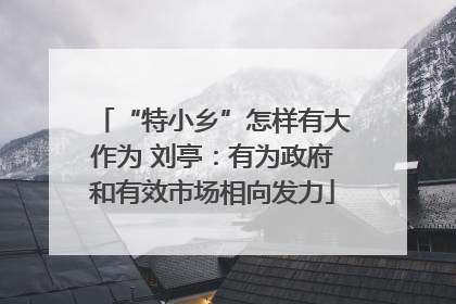 “特小乡”怎样有大作为 刘亭：有为政府和有效市场相向发力