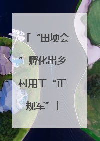 “田埂会”孵化出乡村用工“正规军”