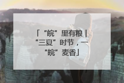“皖”里有粮｜“三夏”时节，一“皖”麦香