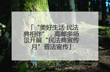 “美好生活·民法典相伴”，高邮多场景开展“民法典宣传月”普法宣传