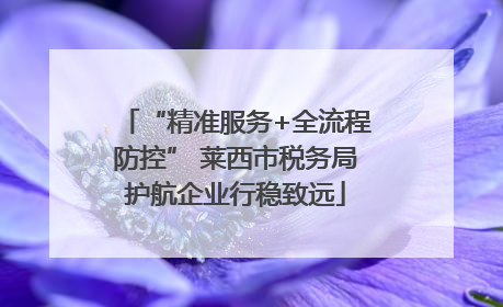 “精准服务+全流程防控” 莱西市税务局护航企业行稳致远