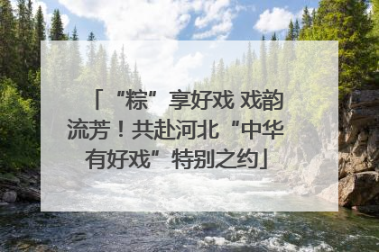 “粽”享好戏 戏韵流芳！共赴河北“中华有好戏”特别之约