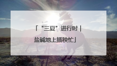“三夏”进行时｜盐碱地上插秧忙