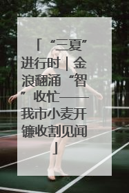 “三夏”进行时｜金浪翻涌“智”收忙——我市小麦开镰收割见闻
