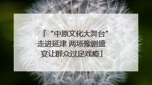 “中原文化大舞台”走进延津 两场豫剧盛宴让群众过足戏瘾
