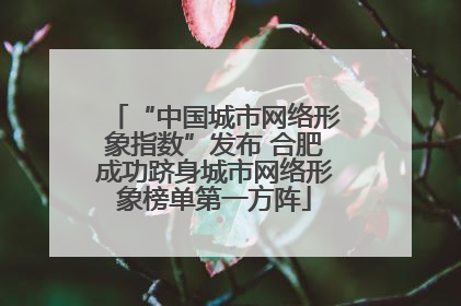 “中国城市网络形象指数”发布 合肥成功跻身城市网络形象榜单第一方阵