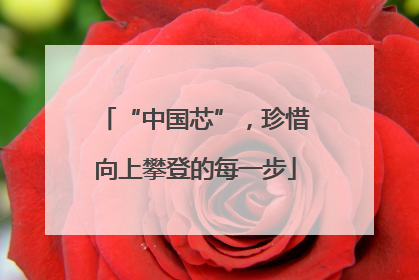 “中国芯”，珍惜向上攀登的每一步