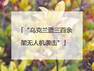 “乌克兰遭三百余架无人机袭击”