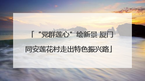“党群莲心”绘新景 厦门同安莲花村走出特色振兴路