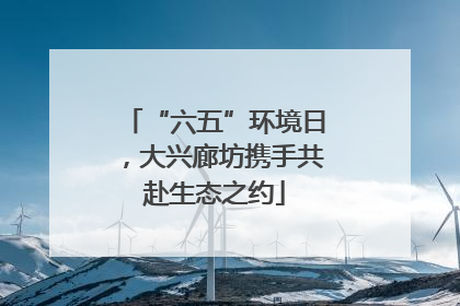 “六五”环境日，大兴廊坊携手共赴生态之约