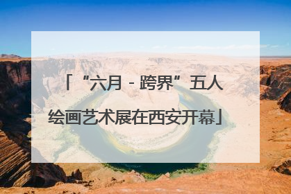 “六月 - 跨界”五人绘画艺术展在西安开幕