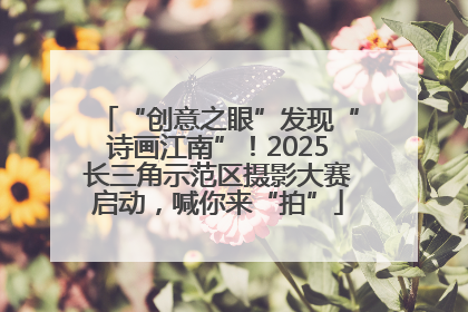 “创意之眼”发现“诗画江南”！2025长三角示范区摄影大赛启动，喊你来“拍”