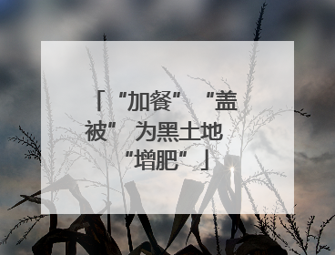 “加餐”“盖被” 为黑土地“增肥”