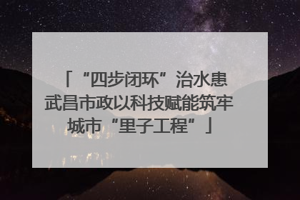 “四步闭环”治水患 武昌市政以科技赋能筑牢城市“里子工程”