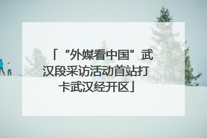 “外媒看中国”武汉段采访活动首站打卡武汉经开区