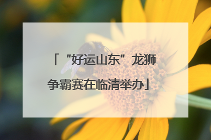 “好运山东”龙狮争霸赛在临清举办