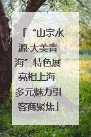 “山宗水源·大美青海”特色展亮相上海 多元魅力引客商聚焦