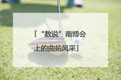 “数说”南博会上的曲靖风采