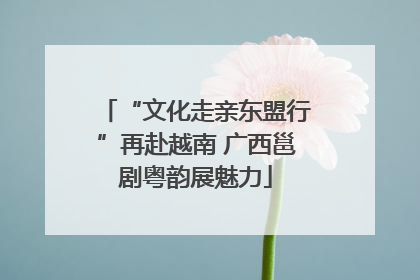 “文化走亲东盟行”再赴越南 广西邕剧粤韵展魅力