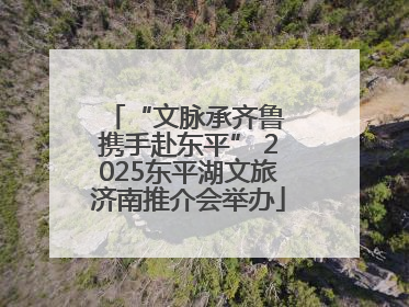 “文脉承齐鲁 携手赴东平” 2025东平湖文旅济南推介会举办