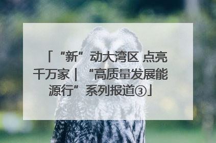 “新”动大湾区 点亮千万家｜“高质量发展能源行”系列报道③