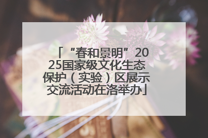 “春和景明”2025国家级文化生态保护（实验）区展示交流活动在洛举办