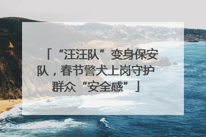 “汪汪队”变身保安队，春节警犬上岗守护群众“安全感”