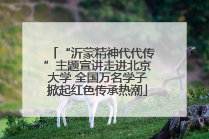 “沂蒙精神代代传”主题宣讲走进北京大学 全国万名学子掀起红色传承热潮