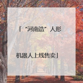 “河南造”人形机器人上线售卖