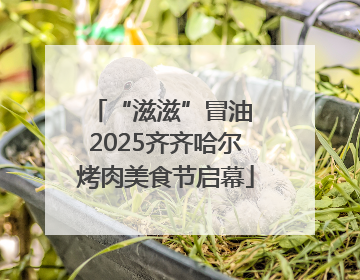“滋滋”冒油 2025齐齐哈尔烤肉美食节启幕