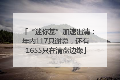 “迷你基”加速出清：年内117只谢幕，还有1655只在清盘边缘