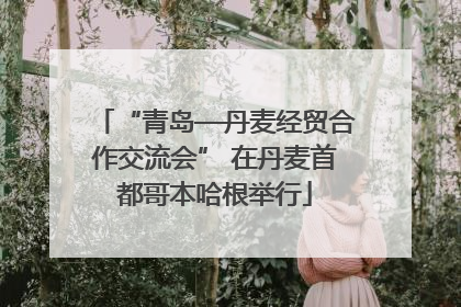 “青岛—丹麦经贸合作交流会” 在丹麦首都哥本哈根举行