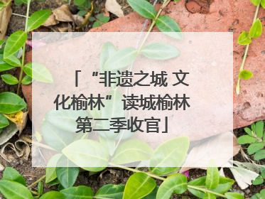 “非遗之城 文化榆林”读城榆林第二季收官