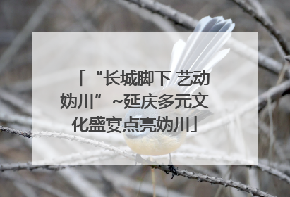“长城脚下 艺动妫川”~延庆多元文化盛宴点亮妫川