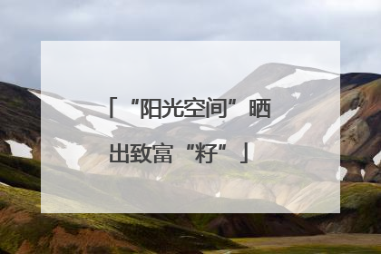 “阳光空间”晒出致富“籽”