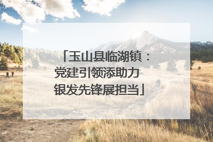 玉山县临湖镇：党建引领添助力 银发先锋展担当
