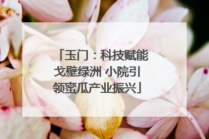 玉门：科技赋能戈壁绿洲 小院引领蜜瓜产业振兴