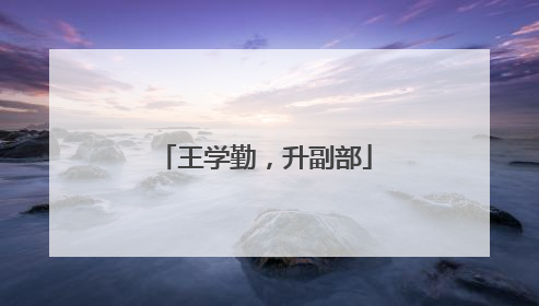 王学勤，升副部