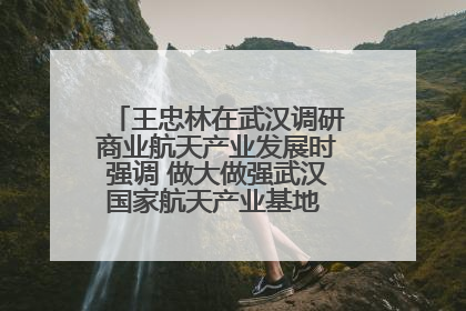 王忠林在武汉调研商业航天产业发展时强调 做大做强武汉国家航天产业基地 打造具有全国影响力的“中国星谷”