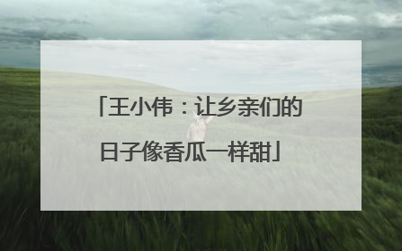 王小伟：让乡亲们的日子像香瓜一样甜